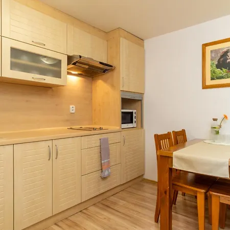 Central Apartmany Apartment *